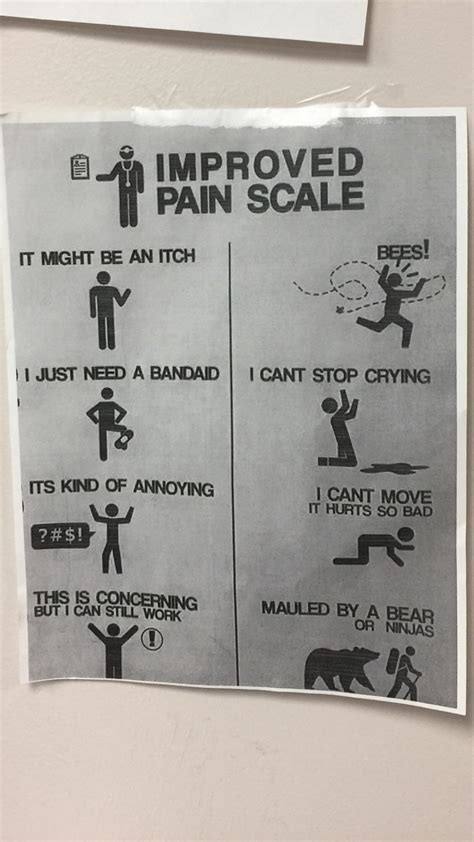 The perfect pain scale : r/funny