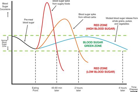 Blood Sugar Spikes and Crashes [Blood Sugar Roller-Coaster]