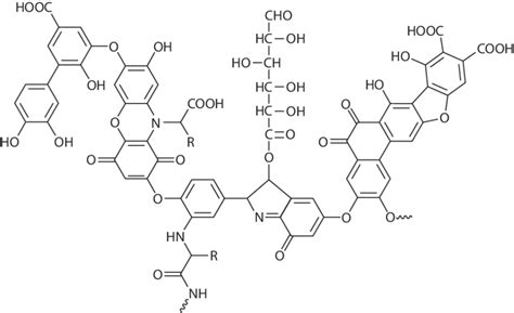 1 Structure of humic acid. | Download Scientific Diagram