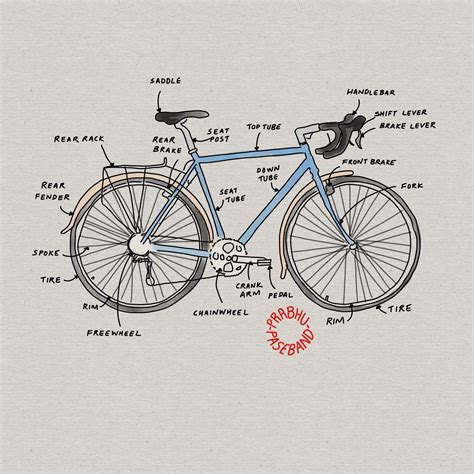 Anatomy Of A Bike - Explore Organs & Anatomy Diagram