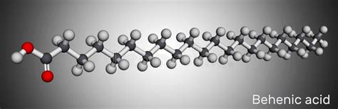 Behenic Acid, Molecule. it is Docosanoic Acid, Straight-chain, Long-chain Saturated Fatty Acid ...