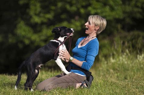 Your guide to the first steps of Border Collie training - BorderCollieHealth