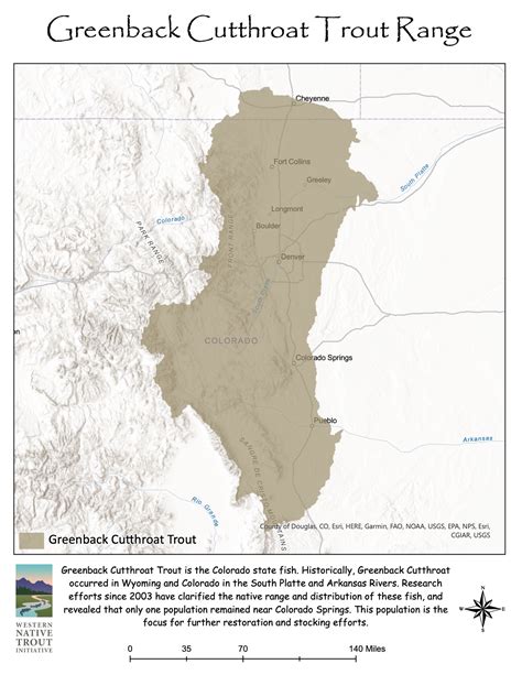 Greenback Cutthroat Trout – Western Native Trout Initiative