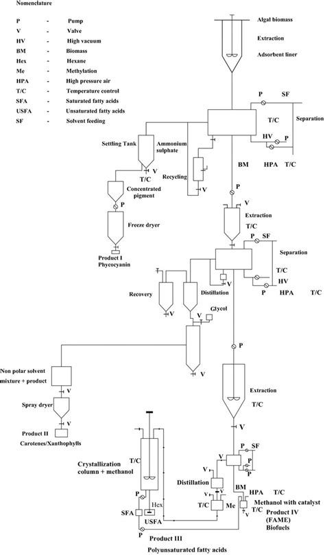 Schematic sketch of a proposed biorefinery design for production of... | Download Scientific Diagram