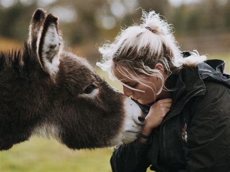 The Donkey Sanctuary Leeds - Visit Leeds