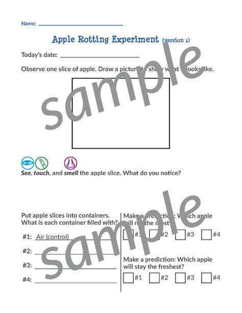 Apple Rotting Experiment - Gift of Curiosity