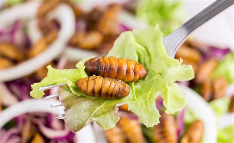 Edible Insects as a Potential Food Source: Benefits vs. Food Safety Issues | 2021-04-21