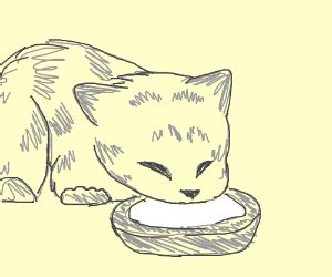 kitten drinking from its milk bowl - Drawception