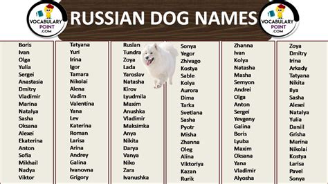 Most Popular Russian Dog Names - Vocabulary Point