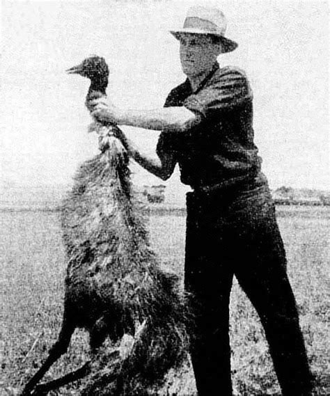 The Great Emu War - Australia Lost A War To Birds