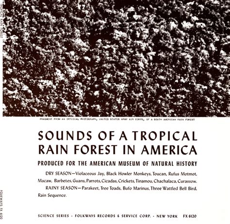 Sounds of a Tropical Rain Forest in America | Smithsonian Folkways ...