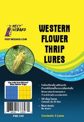 Western Flower Thrips