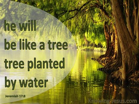 Jeremiah 17:8 He Will Be Like A Tree Planted (green)