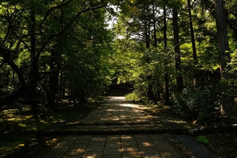 The Shikoku Pilgrimage: A Journey Into Awareness - Growing Global ...