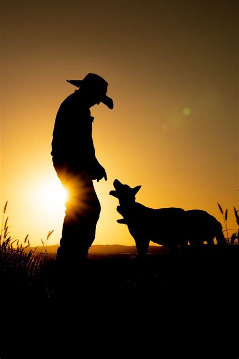 ABC’s Muster Dogs showcases Regional QLD | Screen Queensland