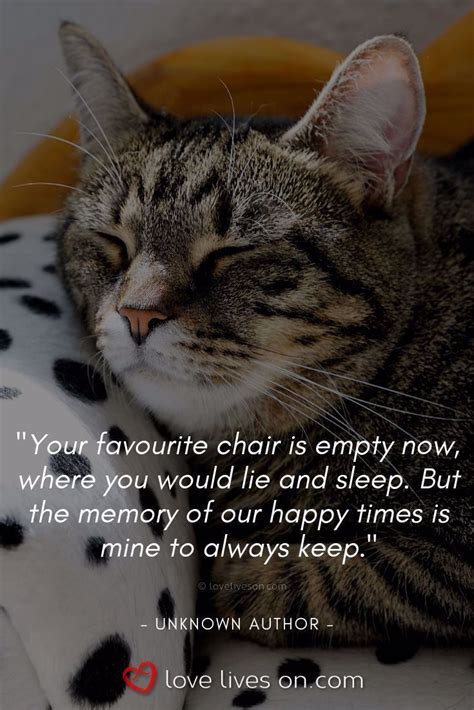 Loss of a Pet Quotes | Loss of a Pet Cat. Memories to treasure. Click ...