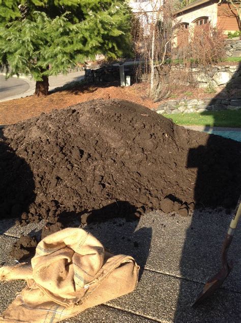 Day 21 Snowcap - Cow poo compost hill, amendments to soil | Grasscity ...