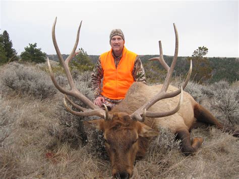 Trophy Deer & Elk Hunting in Montana | Armells Creek Outfitters