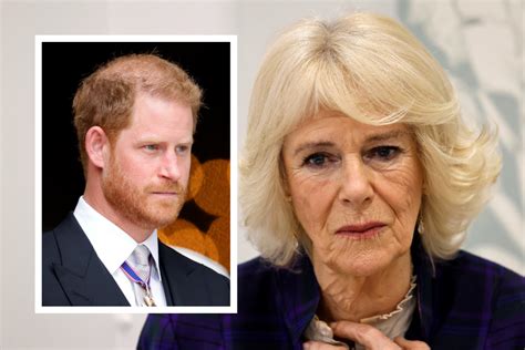 Camilla 'Lives in Dread' of Harry Memoir as 'Diana's Ghost Still ...