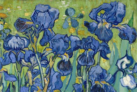 Five Ways of Seeing Van Gogh’s Irises | The Getty Iris
