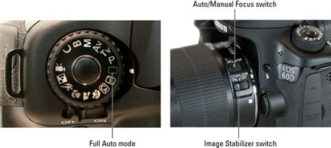 Shoot in Auto Mode on a Canon EOS 60D - dummies