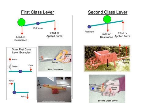 First Class Lever Second Class Lever