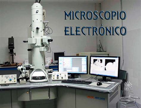 mundo Confiar Costoso clasificacion de microscopios Endulzar laringe ...