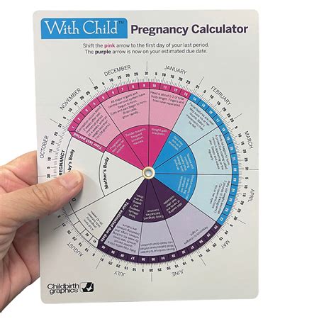 Timeline Of Pregnancy Chart | Childbirth Graphics