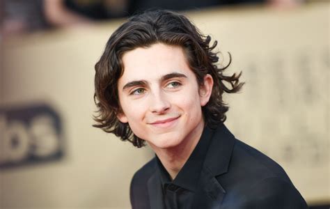 ‘Beautiful Boy’ First Look: Timothée Chalamet Returns to Oscar Race ...