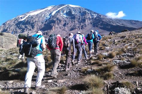 Mount Kilimanjaro Climbing - Wild Peak Adventures