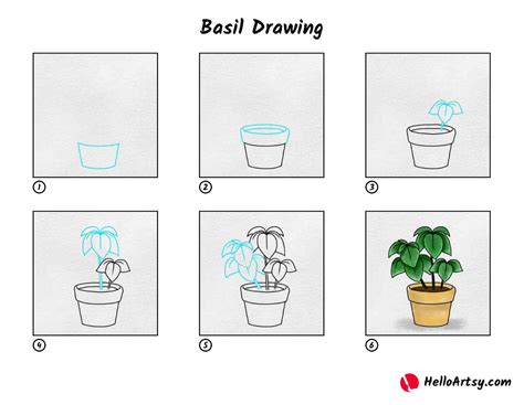 Basil Drawing - HelloArtsy