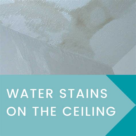 How to Fix Water Stains on the Ceiling | ServiceMaster