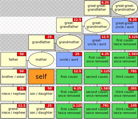 Family Trees Explained: How Do They Work | GenealogyBank