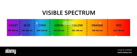 Visible light spectrum. Optical light wavelength. Electromagnetic visible color spectrum for ...