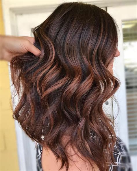 cocoa brown dark cinnamon low lights hair color - Google Search | Brown hair with highlights ...