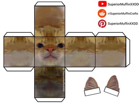 Staring Cat Cube Papercraft [By: SuperiorMuffinXXDD] | Cat cube, Cat template, Paper toys template