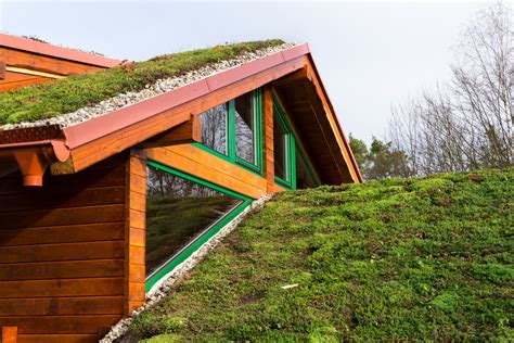 What Green Roofing Materials Are Available Today?