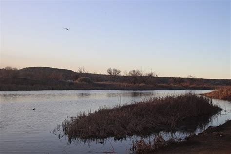 Mojave Narrows Regional Park Camping (Victorville) - 2020 All You Need to Know BEFORE You Go ...