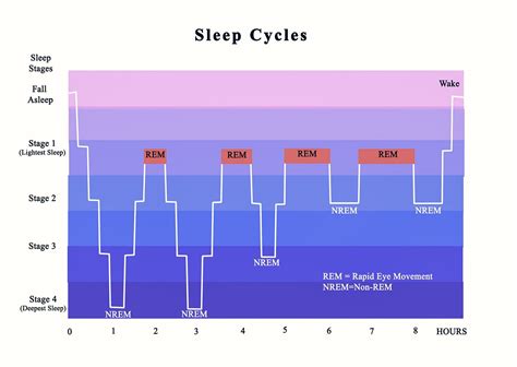 Why you don't actually need 8 hours of sleep per night