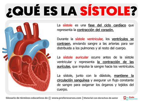 Qué es la Sístole | Definición Sístole Corazón