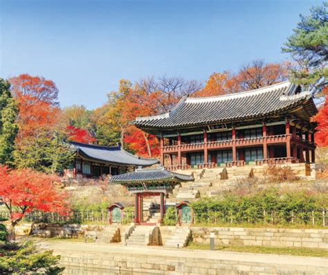 Visiting Changdeokgung Palace when fall foliage is at peak - The Korea Times