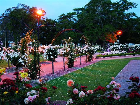 Newtown Park State Rose Garden - Attraction - Queensland