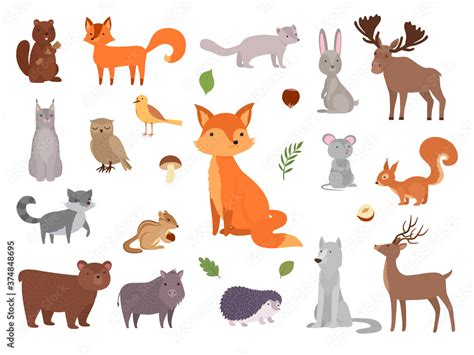 Cute wild animals. Vector forest animals collection fox bear owl vector ...