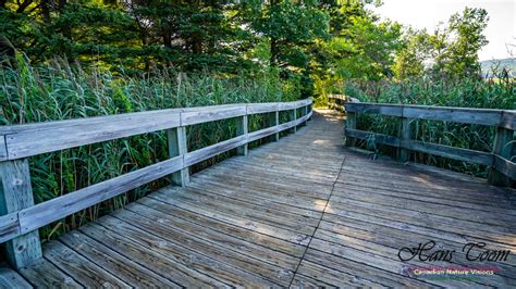 Canadian Nature Visions | Annapolis Royal Gardens