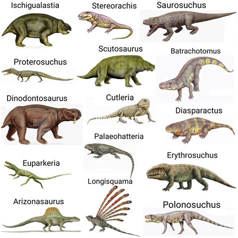 synapsids and reptiles 2 Reptiles, Amphibians, Dinosaur Art, Dinosaur ...