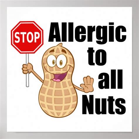 Nut Allergy Alert Poster | Zazzle.com.au