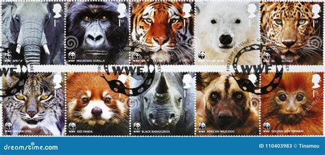 Ten Stamps of WWF with Endangered Animals Looking at You Editorial ...