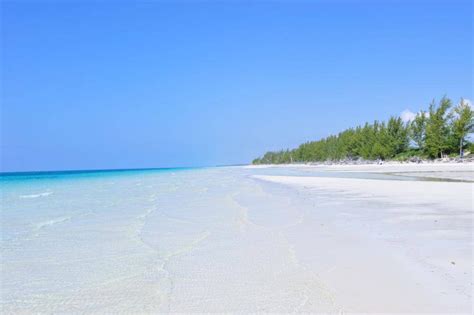 Exploring Grand Bahama (if you can ever leave the beach) - The Globe and Mail