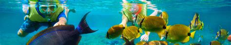 Your Best Source for Snorkeling Tours|TotalSnorkelCancun.com