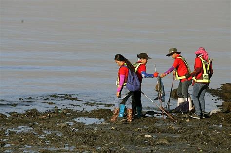 LGUs, barangays told to conduct weekly clean-up drives for Manila Bay rehab | Philstar.com